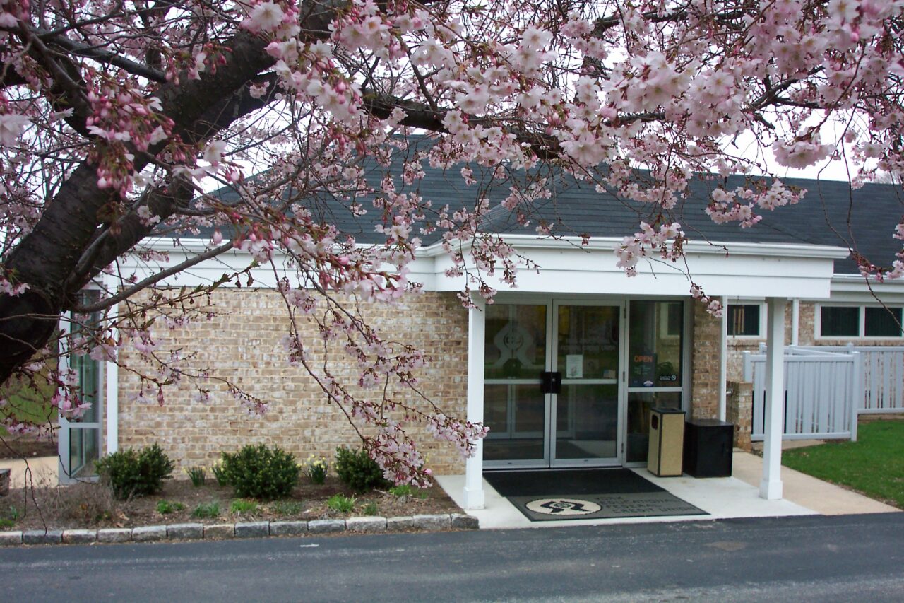 The front of the York Educational Federal Credit Union office building accompanied by a cherry blossom tree.